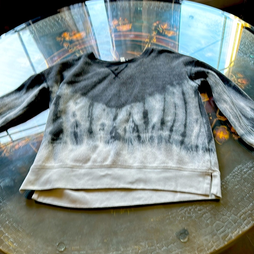 🪐American Eagle sweatshirt !🌟